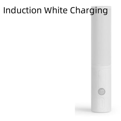 Induction LED Wall Lamp - Jakko Store